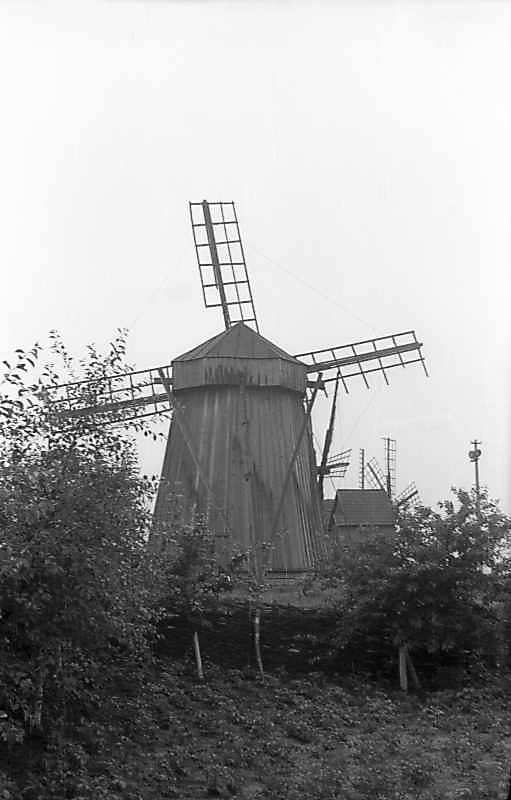 1977 р. Загальний вигляд з позиції С3