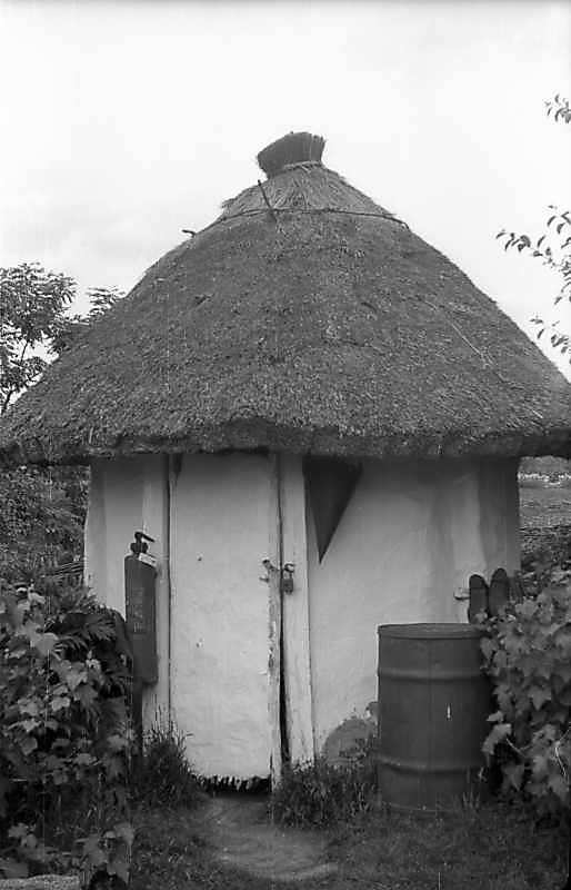 1977 р. Курник. Загальний вигляд ззаду