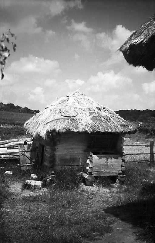 1977 р. Загальний вигляд з боку двора