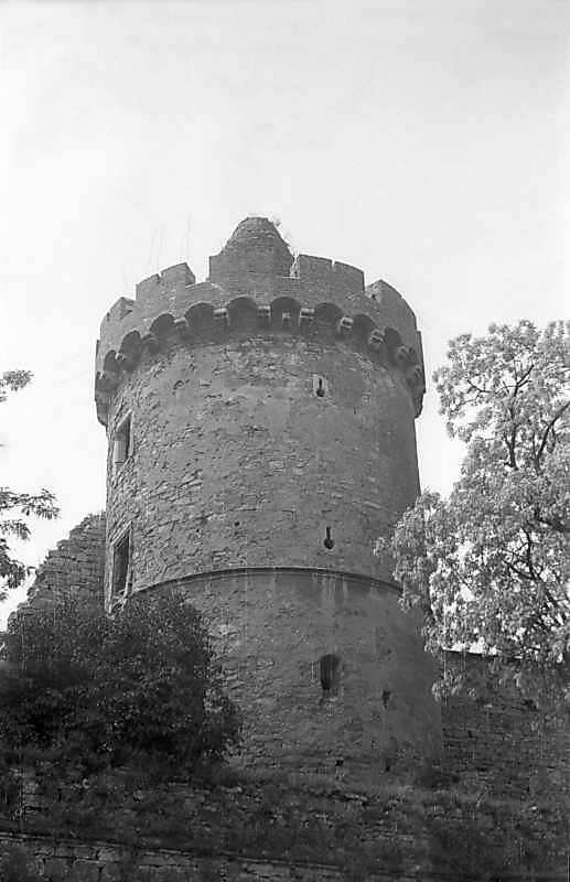 Вигляд з півночі