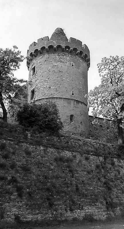 1977 р. Загальний вигляд з північного…