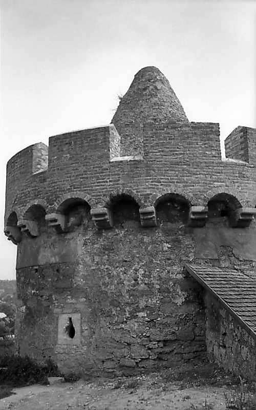 1977 р. Верхні яруси. Вигляд з…