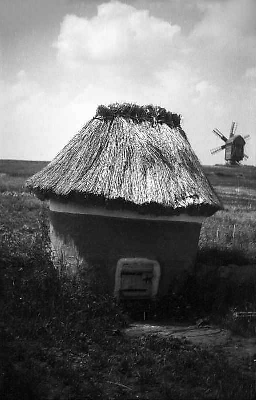 1977 р. Загальний вигляд