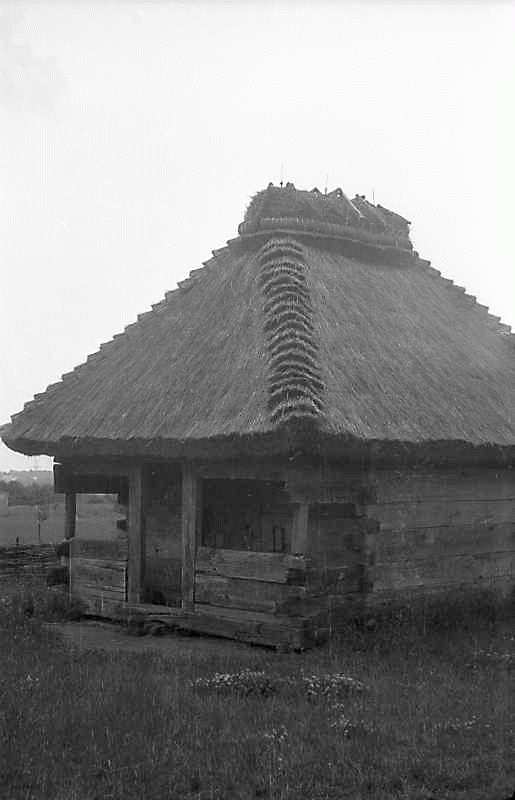 1977 р. Загальний вигляд з боку двора