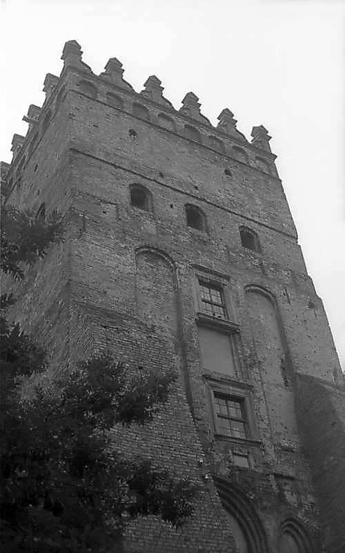 1977 р. Верхні яруси. Вигляд з…