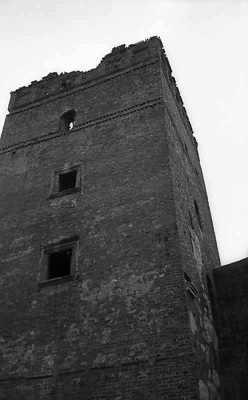 Верхні яруси