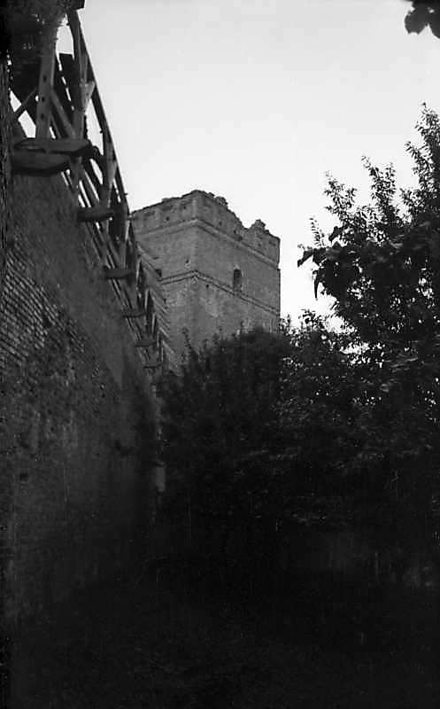 1977 р. Мур на північ від Стирової…