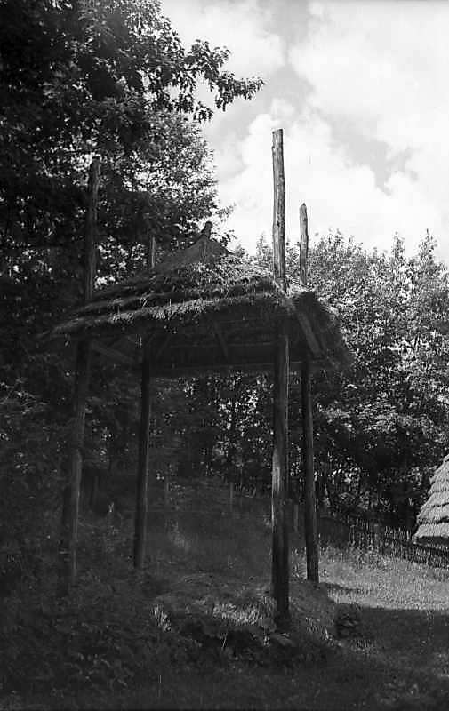 1977 р. Загальний вигляд