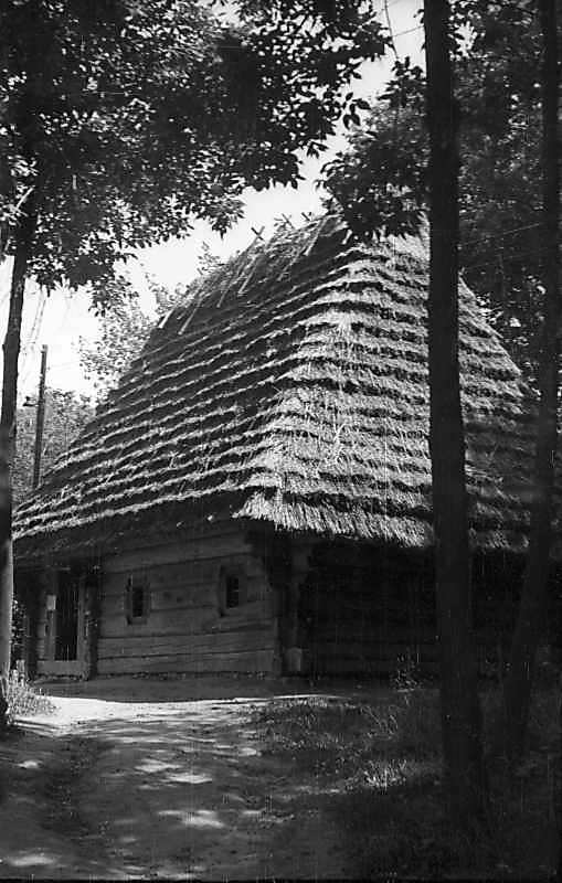 1977 р. Загальний вигляд