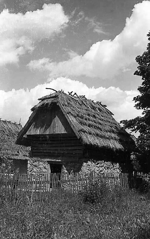 1977 р. Загальний вигляд