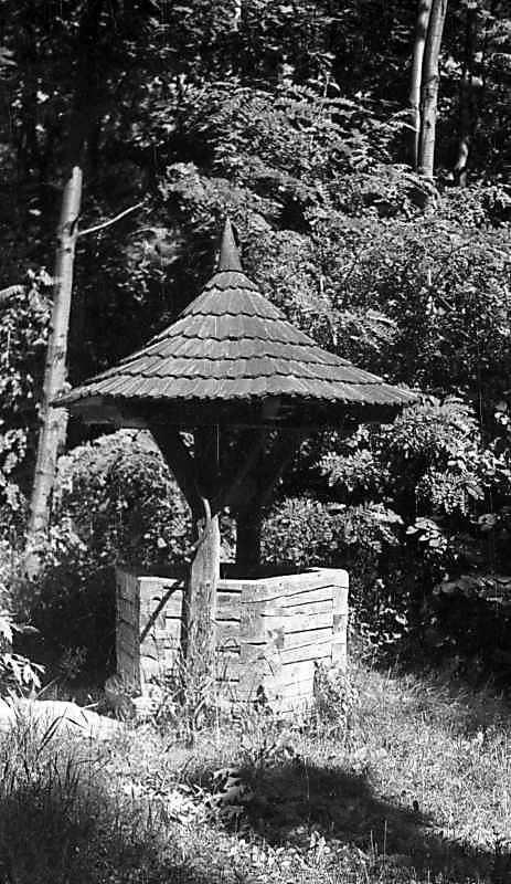 1977 р. Криниця