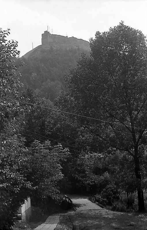 1977 р. Вид на Замкову гору із заходу,…