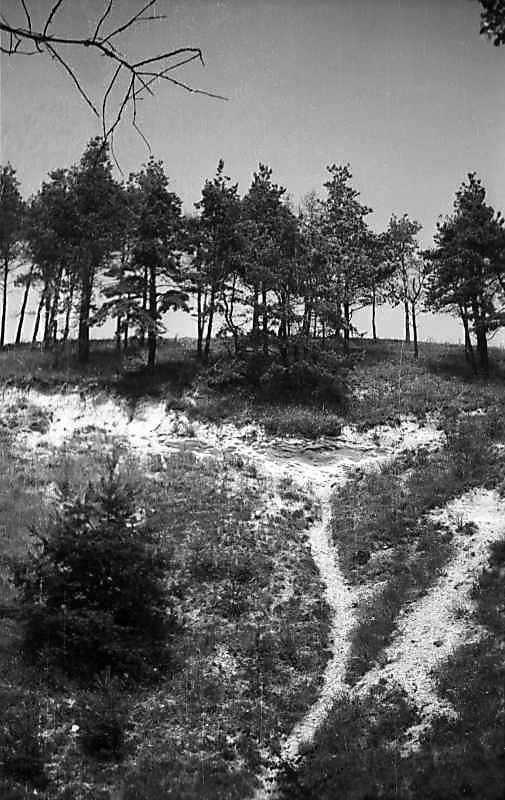 1977 р. Краєвид гори