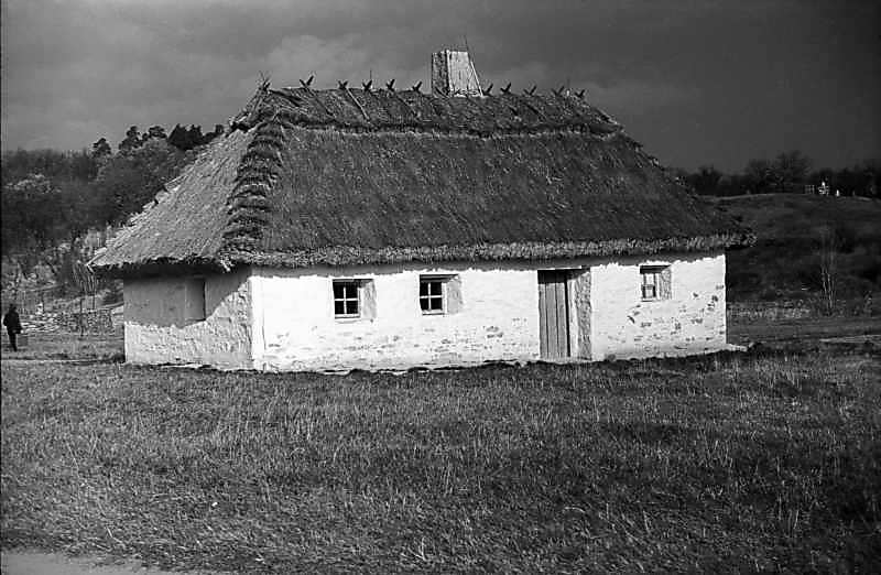 1977 р. Загальний вигляд