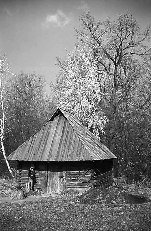 1977 р. Загальний вигляд