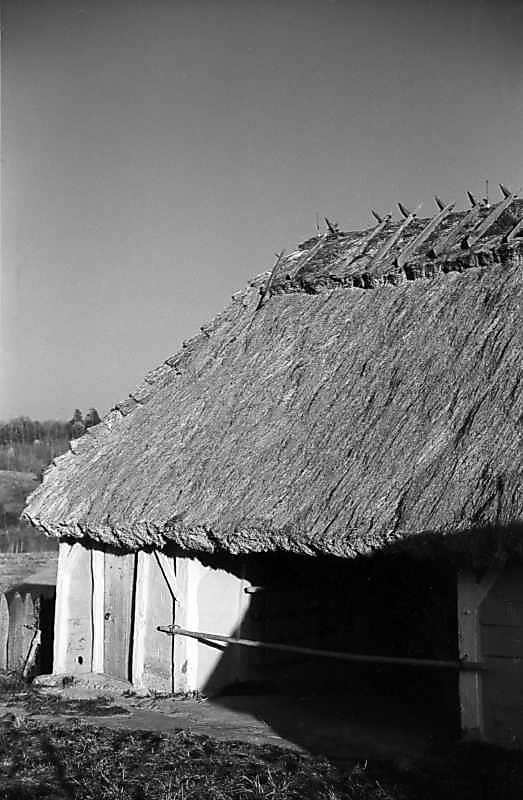 1977 р. Фрагмент