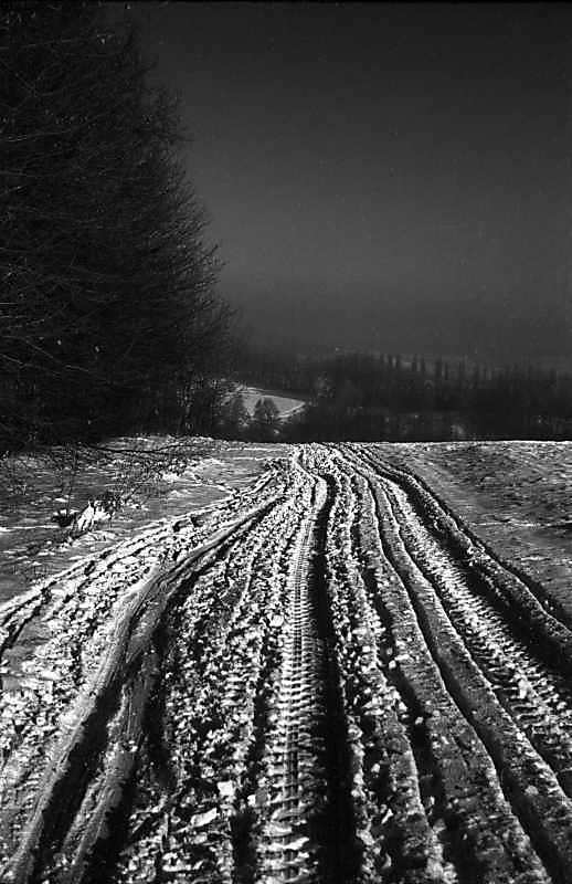1977 р. Засніжена дорога на узліссі.