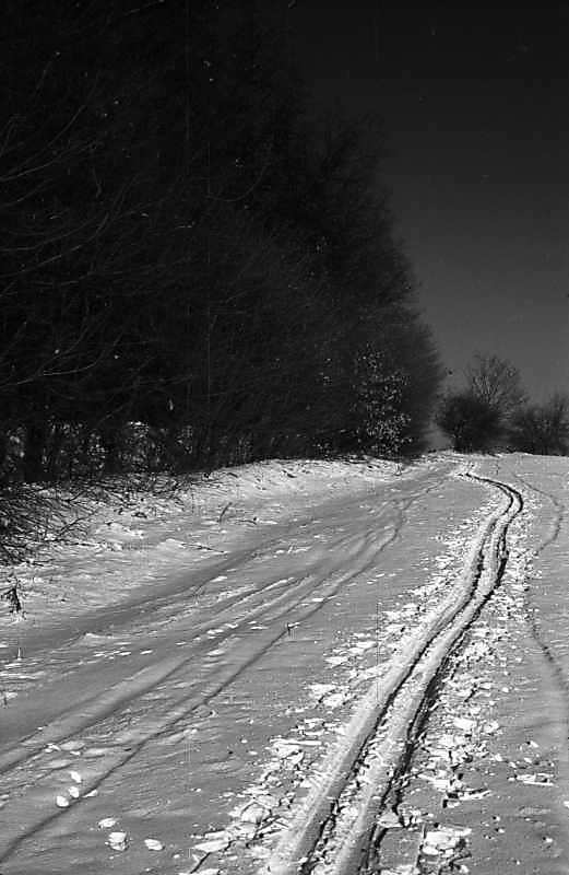 1977 р. Засніжена дорога на узліссі.