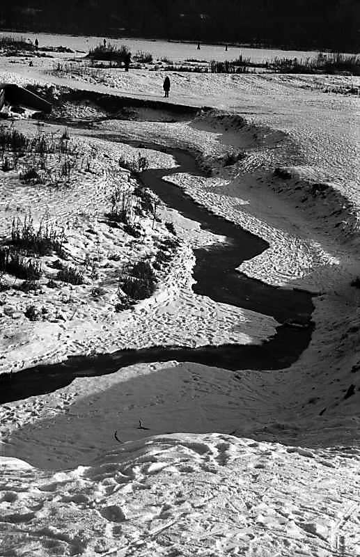 1978 р. Струмок у Святошині