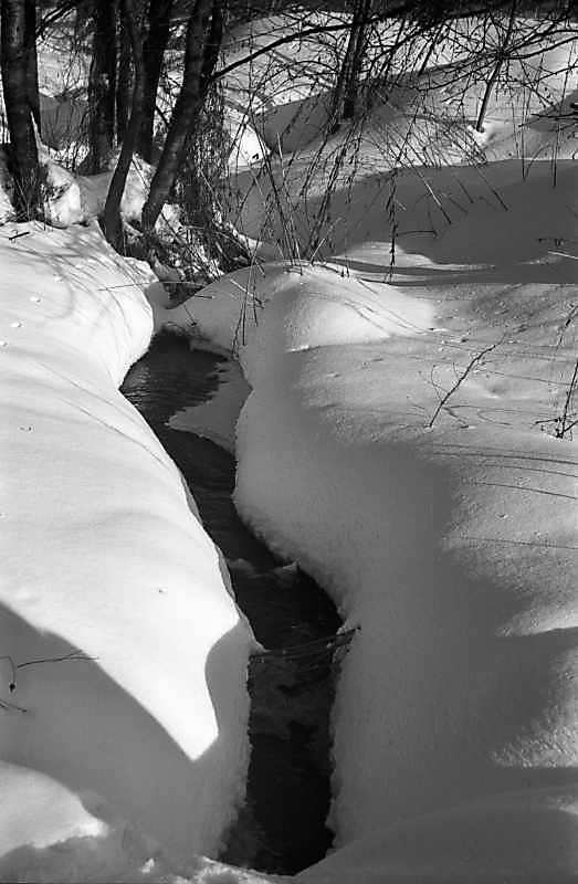 1978 р. Струмок у Голосієві