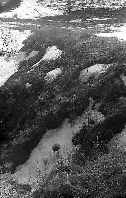 1978 р. Хотівське городище. Ескарп