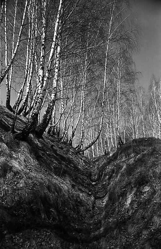 1978 р. Рів городища