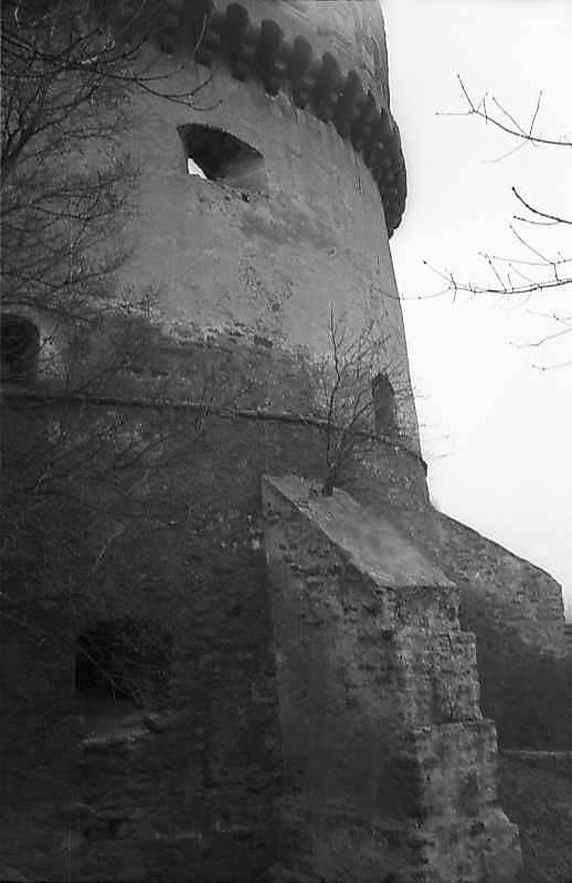 1978 р. Фрагмент західної стіни.…