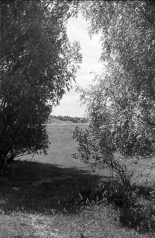 1978 р. Краєвид у Феофанії