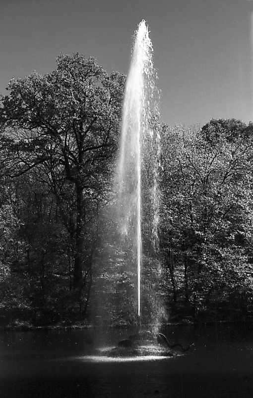 1978 р. Загальний вигляд