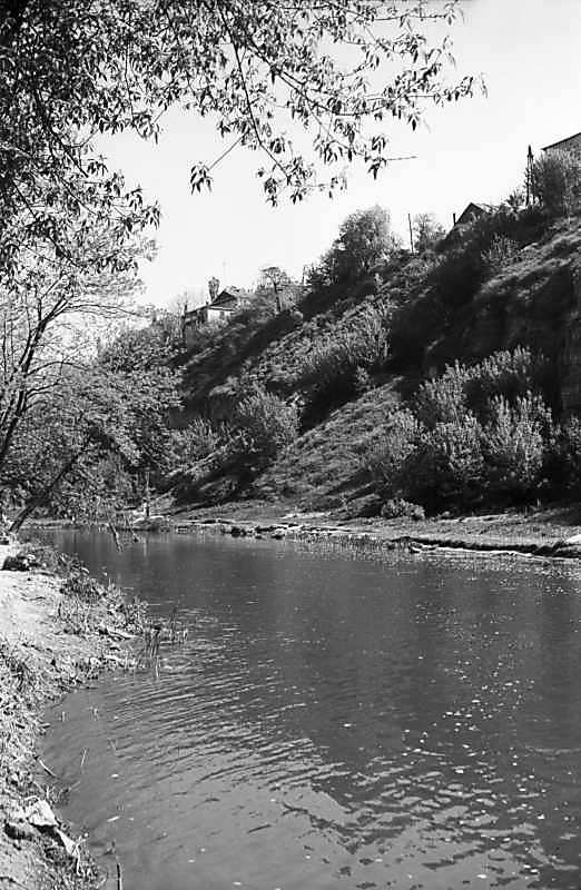 1979 р. Вид на Смотрич між Турецьким…