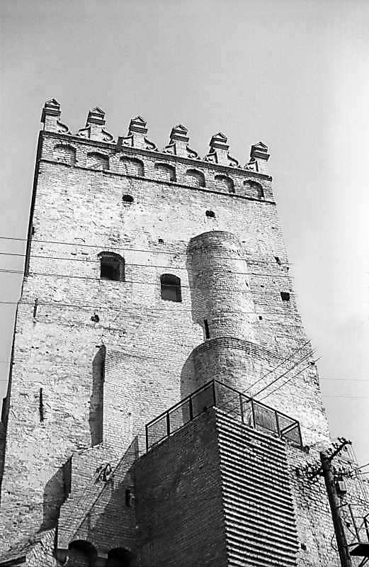 Верхні яруси