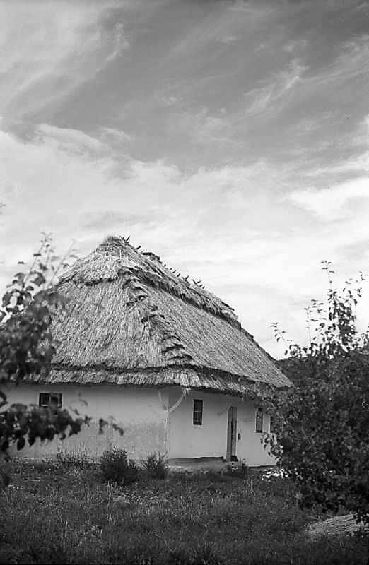 1979 р. Загальний вигляд