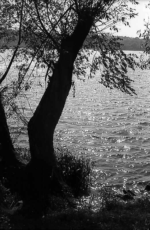 1979 р. Вид на став