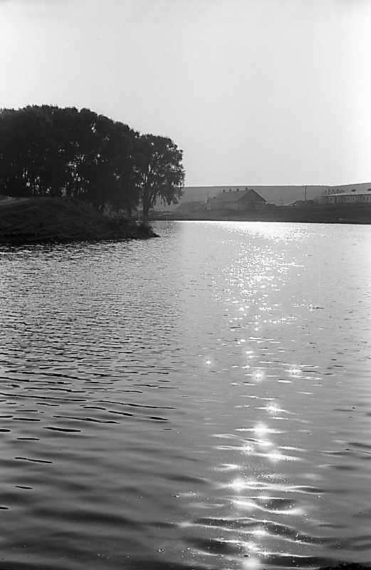 1979 р. Вид на став