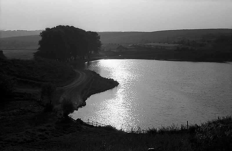 Замок 17 – 18 ст. [Історія міст і сіл УРСР: Київська область. – К.: ГРУРЕ,… Лісники с