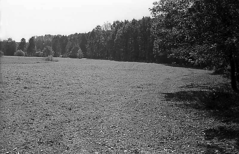 В 1900 р. зафіксовано село Великие Дмитровичи Велико-Дмитрівської волості… Великі Дмитровичі с