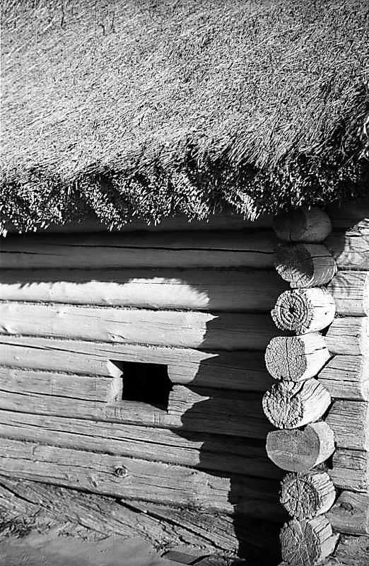 1979 р. Фрагмент тильної стіни