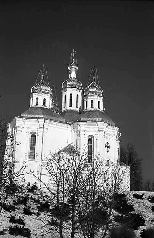 1980 р. Загальний вигляд з півдня