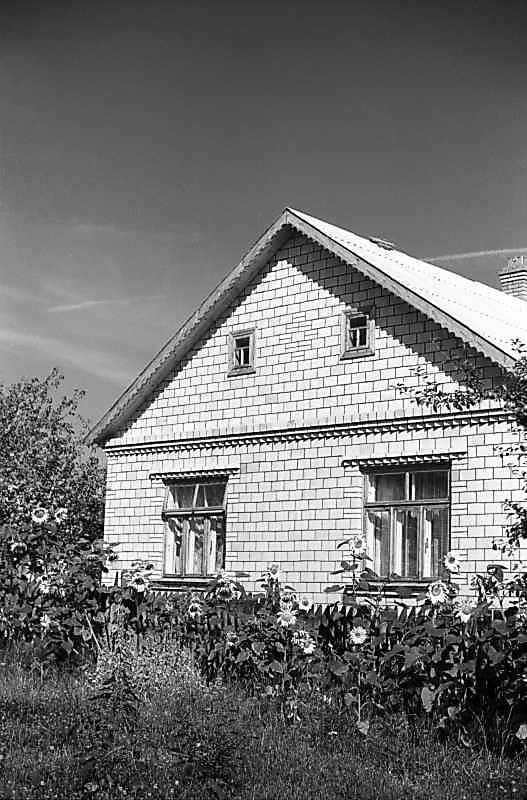 1980 р. Хата 3 (фрагмент)