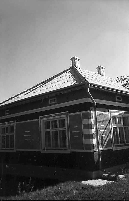 1980 р. Фрагмент