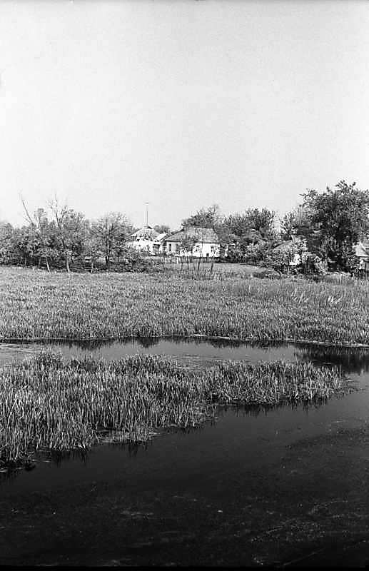 1983 р. Краєвид біля села