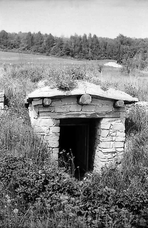 1983 р. Загальний вигляд