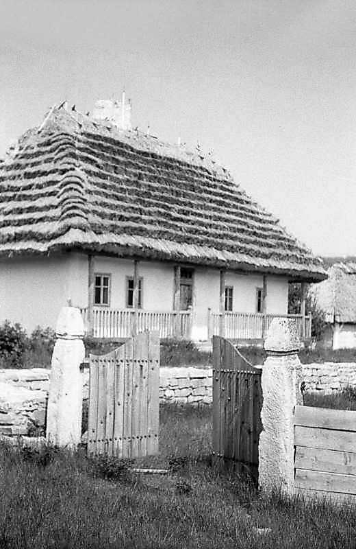 1983 р. Брама і хата