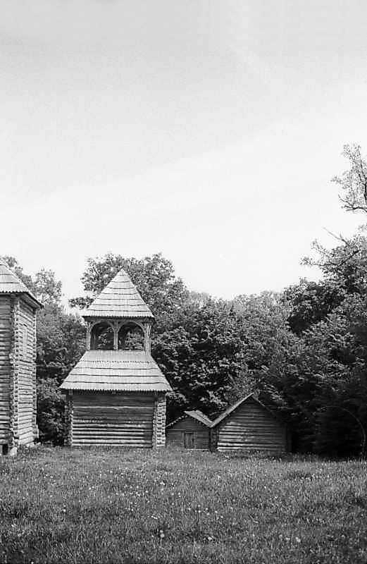 1983 р. Дзвіниця, кліть 12, тік 11