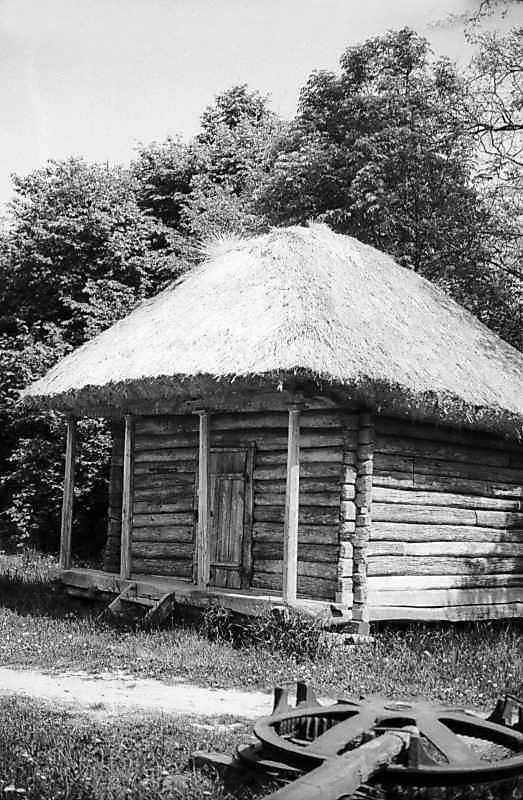 1983 р. Загальний вигляд