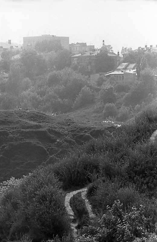 1983 р. Фрагмент Замкової гори