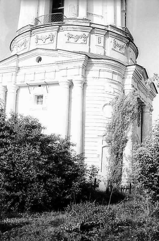 Нижній ярус