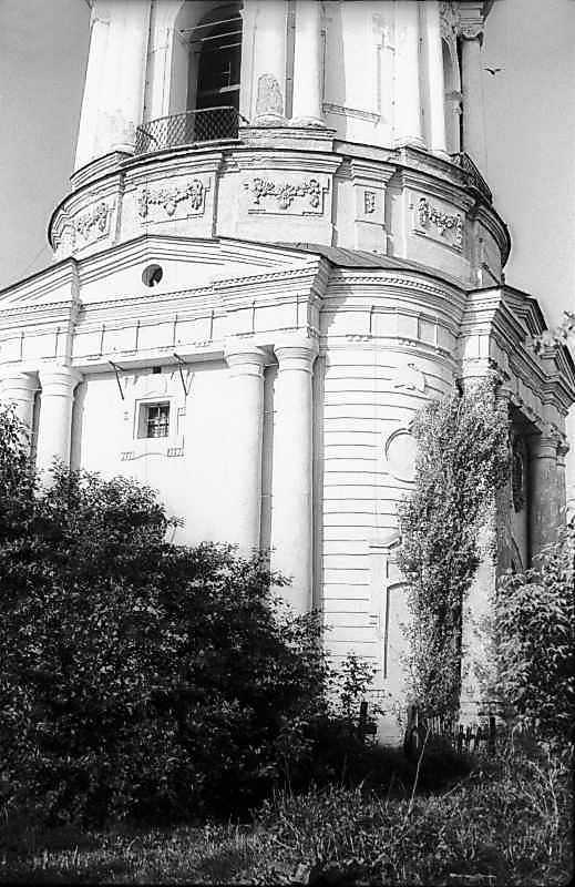 Нижній ярус