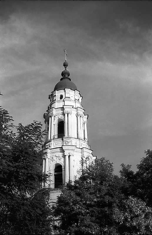 1983 р. Верхні яруси. Вигляд з півночі