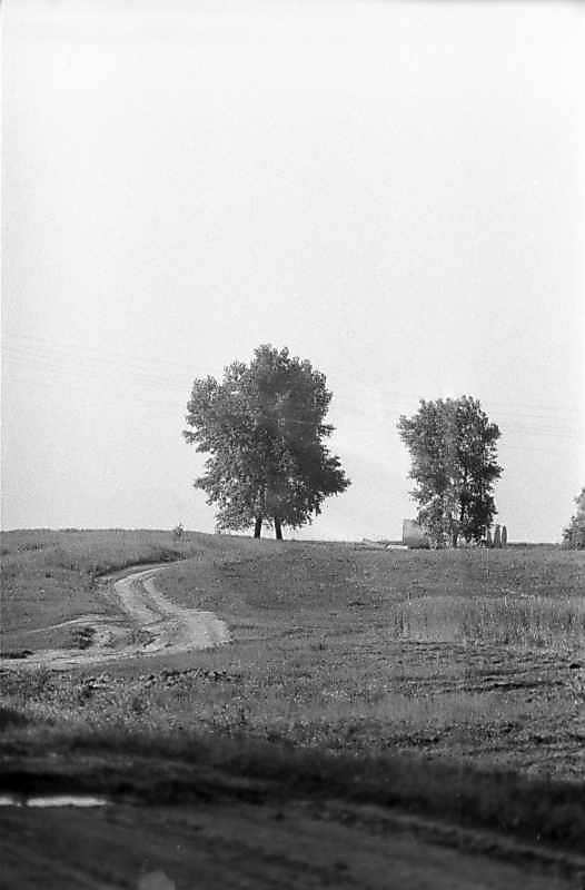 1983 р. Краєвид біля села